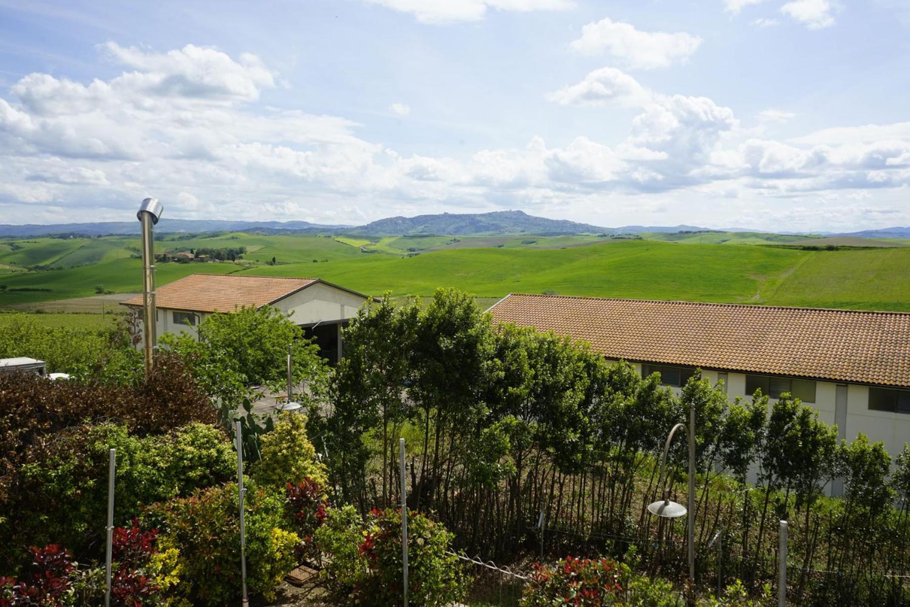 Agriturismo Signorini Orciatico Ngoại thất bức ảnh