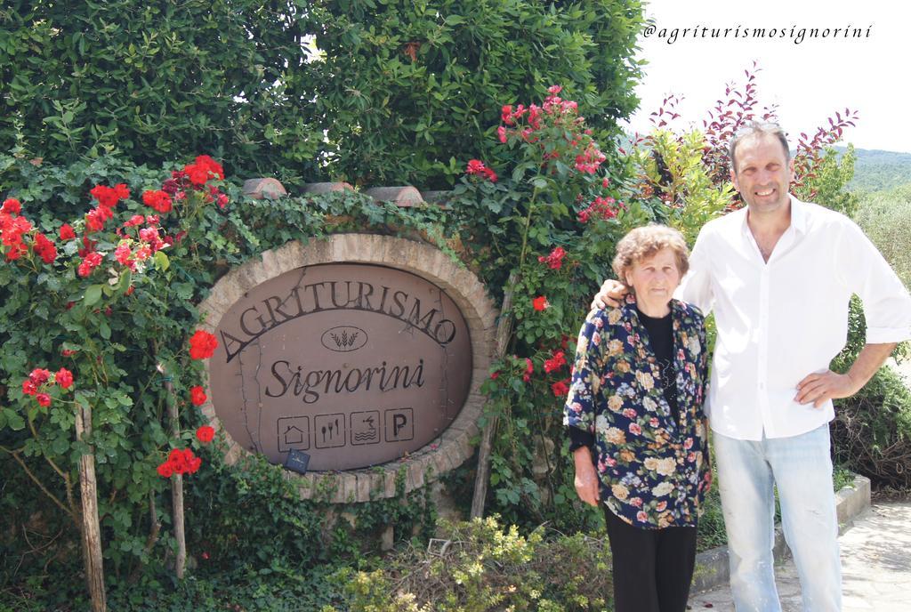 Agriturismo Signorini Orciatico Ngoại thất bức ảnh