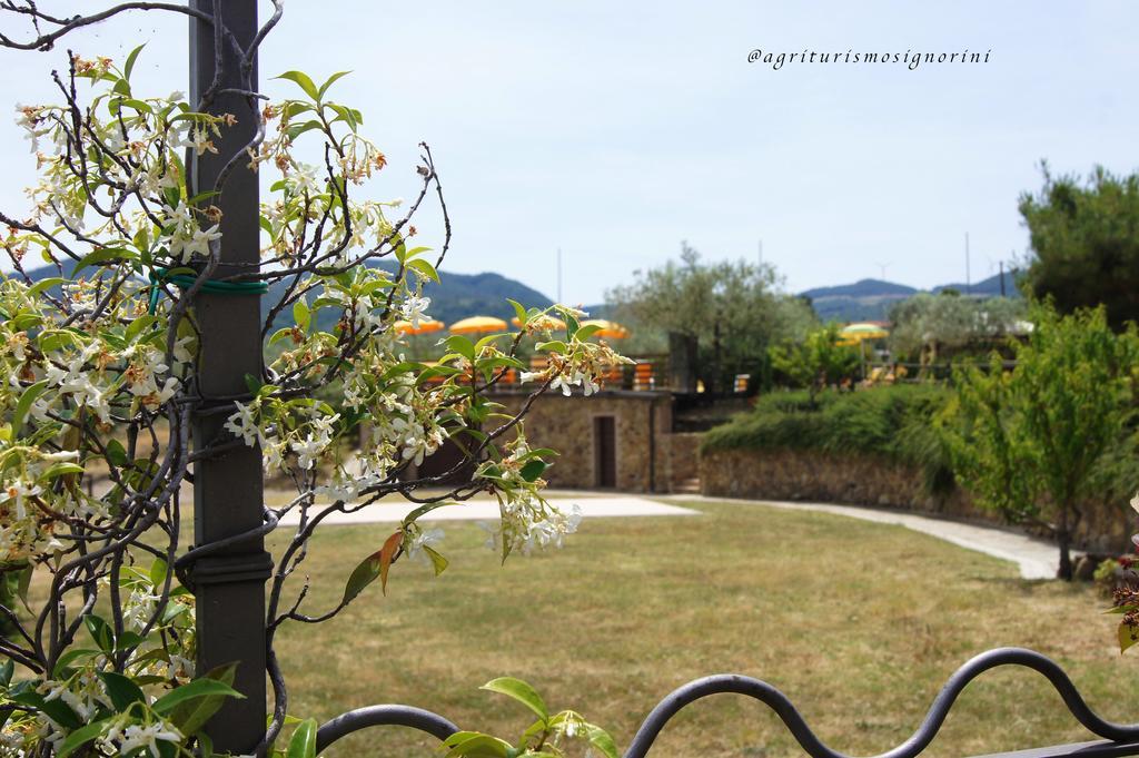 Agriturismo Signorini Orciatico Ngoại thất bức ảnh