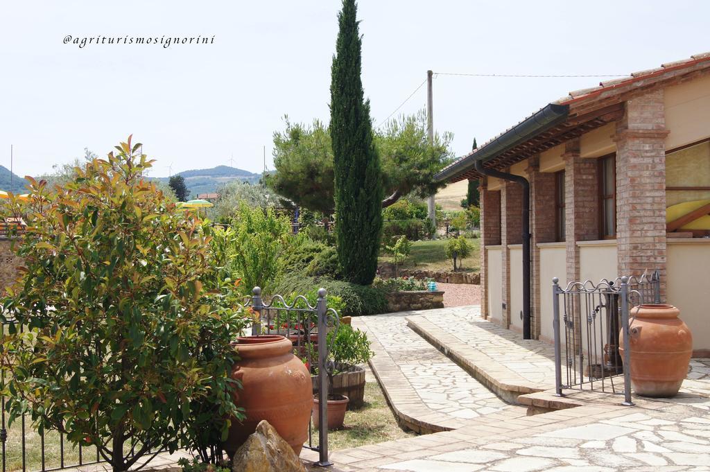 Agriturismo Signorini Orciatico Ngoại thất bức ảnh