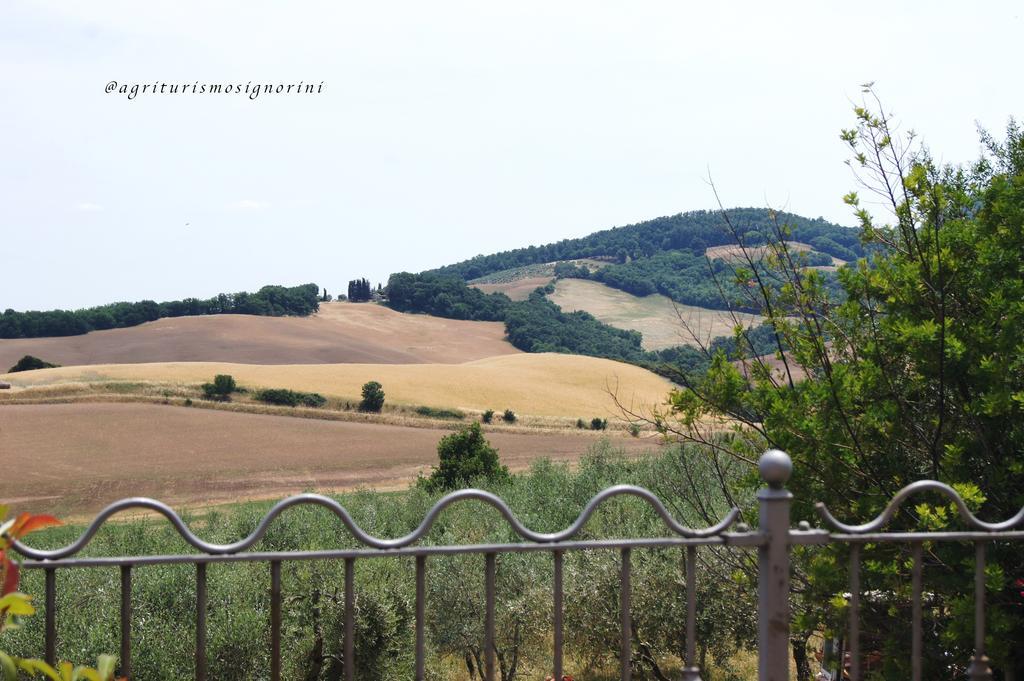 Agriturismo Signorini Orciatico Ngoại thất bức ảnh