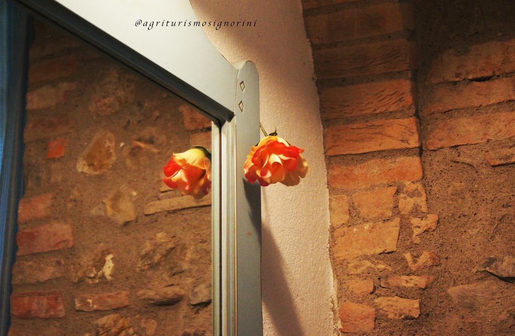 Agriturismo Signorini Orciatico Ngoại thất bức ảnh