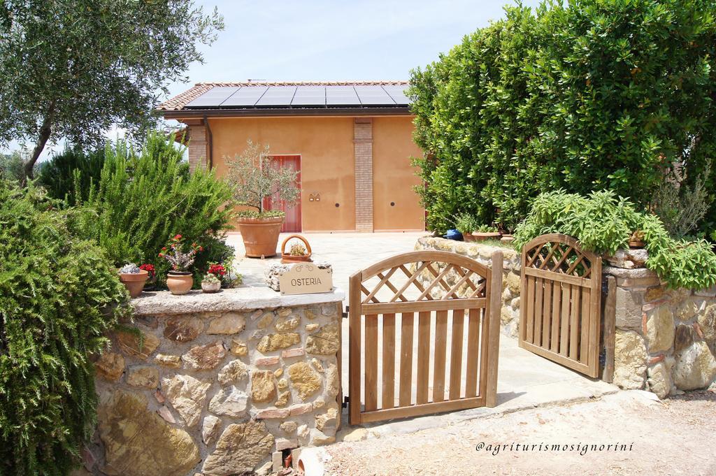 Agriturismo Signorini Orciatico Ngoại thất bức ảnh