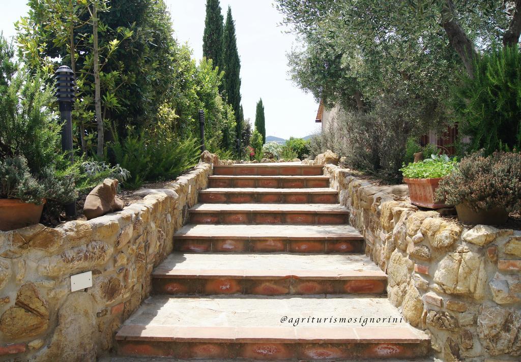 Agriturismo Signorini Orciatico Ngoại thất bức ảnh