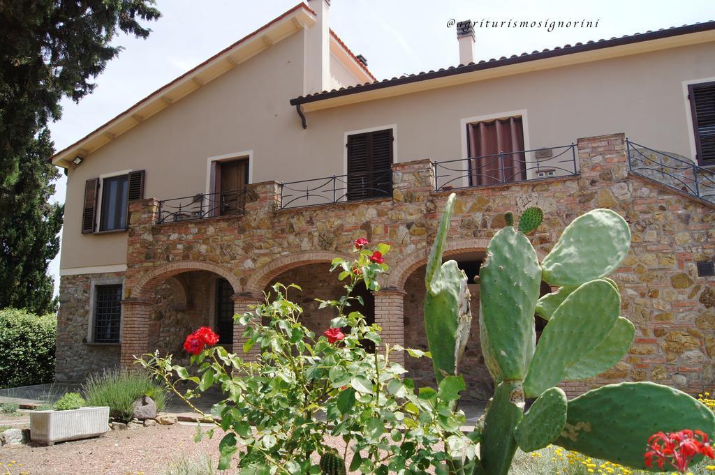Agriturismo Signorini Orciatico Ngoại thất bức ảnh