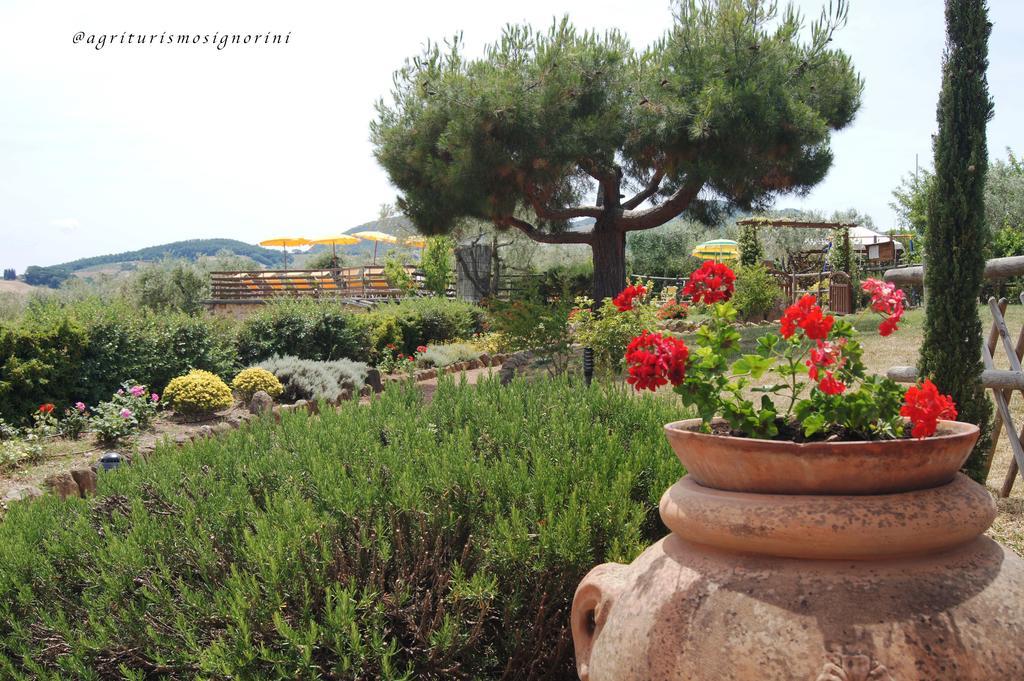 Agriturismo Signorini Orciatico Ngoại thất bức ảnh