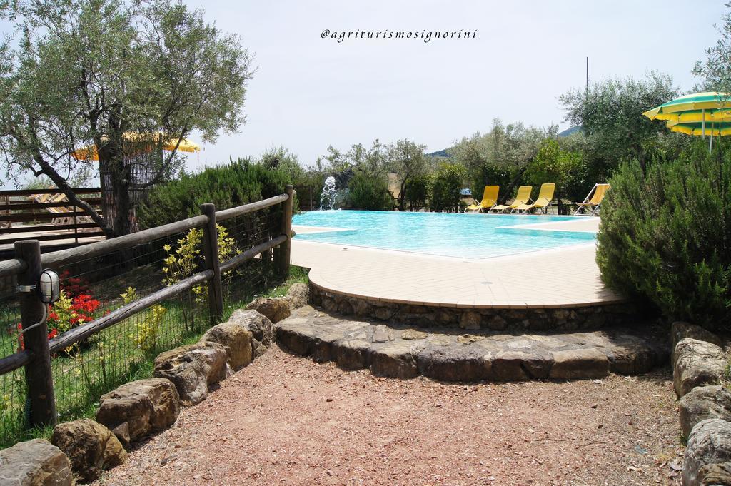 Agriturismo Signorini Orciatico Ngoại thất bức ảnh