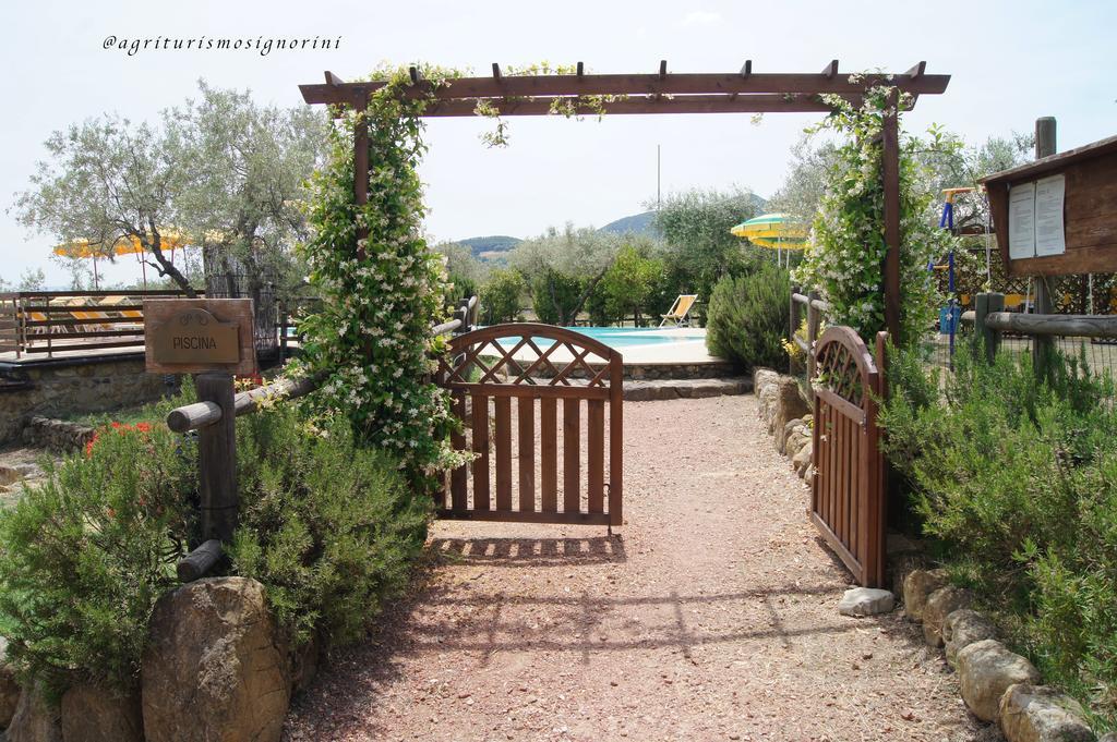 Agriturismo Signorini Orciatico Ngoại thất bức ảnh