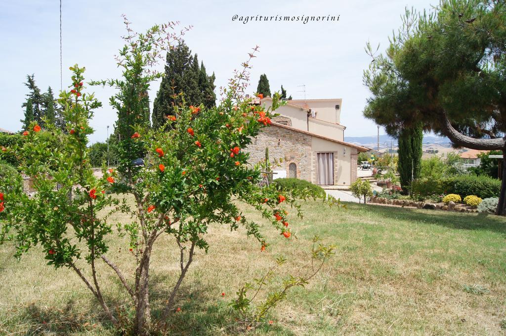 Agriturismo Signorini Orciatico Ngoại thất bức ảnh