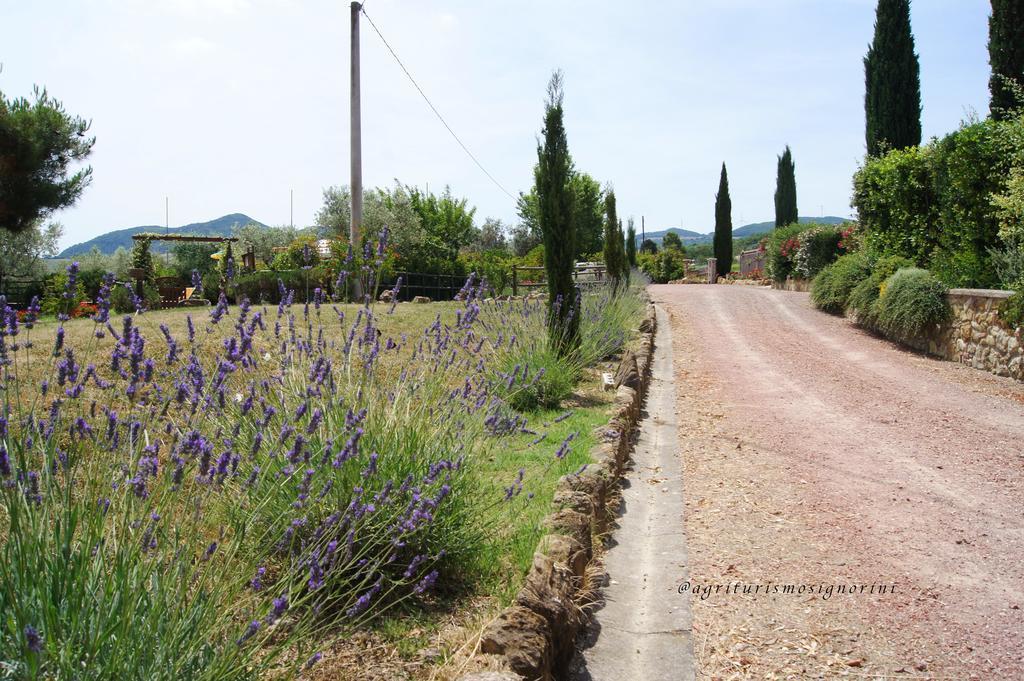 Agriturismo Signorini Orciatico Ngoại thất bức ảnh