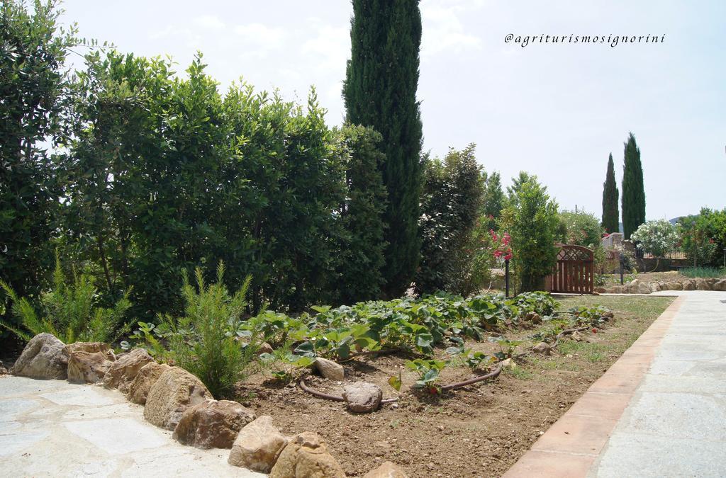 Agriturismo Signorini Orciatico Ngoại thất bức ảnh