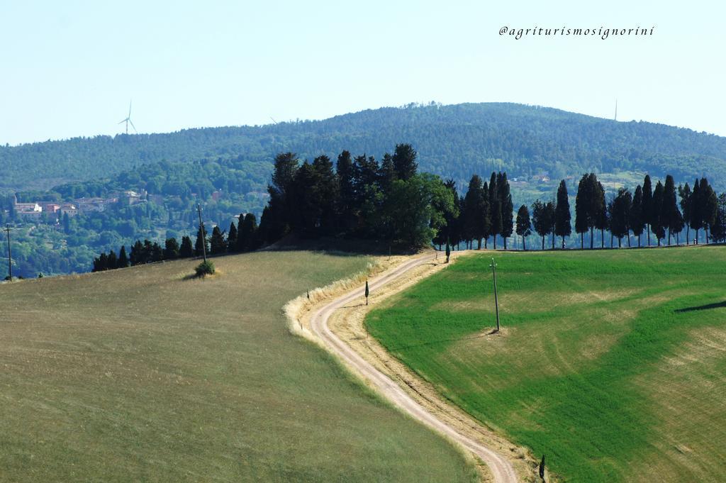 Agriturismo Signorini Orciatico Ngoại thất bức ảnh