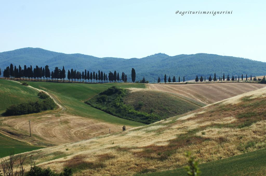 Agriturismo Signorini Orciatico Ngoại thất bức ảnh