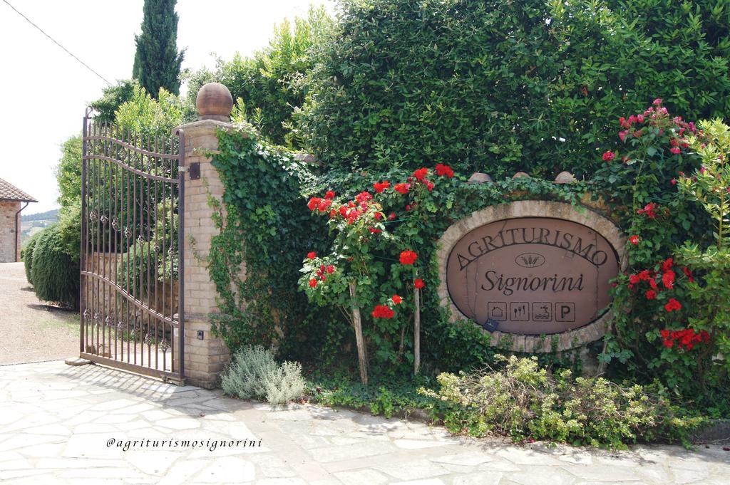 Agriturismo Signorini Orciatico Ngoại thất bức ảnh