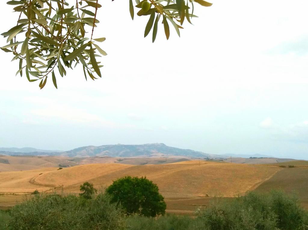 Agriturismo Signorini Orciatico Ngoại thất bức ảnh
